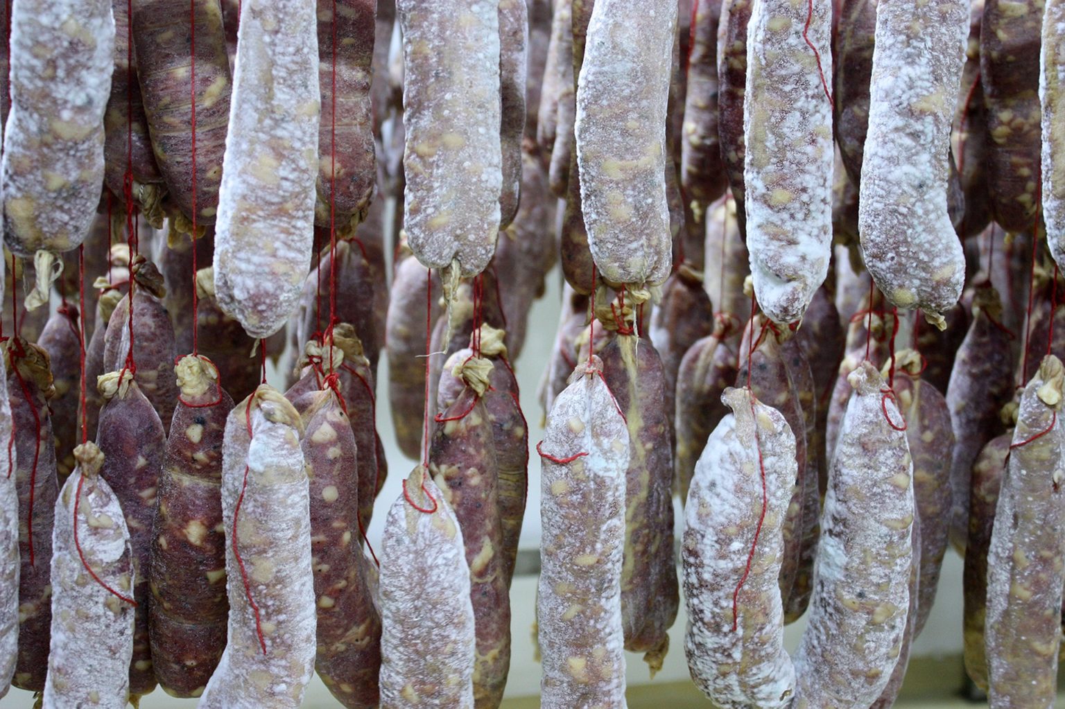 Recette : Le Saucisson Sec Maison - Résilience Face à l'Effondrement