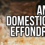 Animaux Domestiques et Effondrement