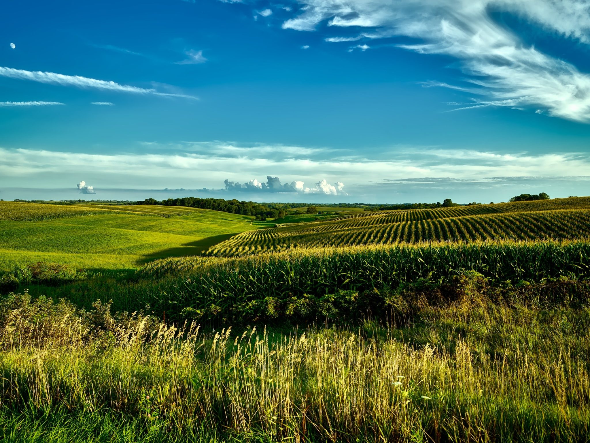 l-agriculture-intensive-est-ce-un-probl-me-moderne