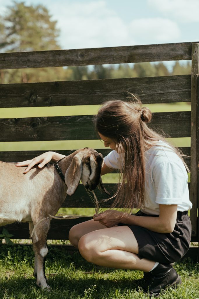 Femme nourrissant une chèvre pour vivre en autosuffisance.