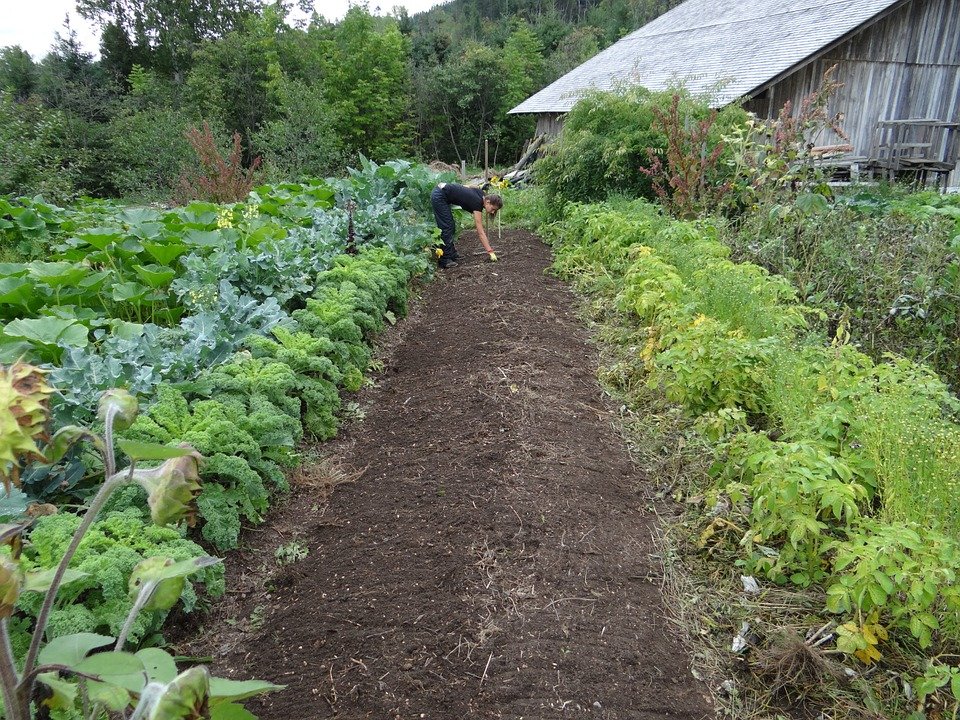 atteindre l'autonomie alimentaire grâce à la permaculture