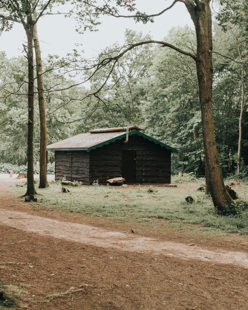 Cabane dans les bois, typique de l'imagerie que les gens ont des preppers