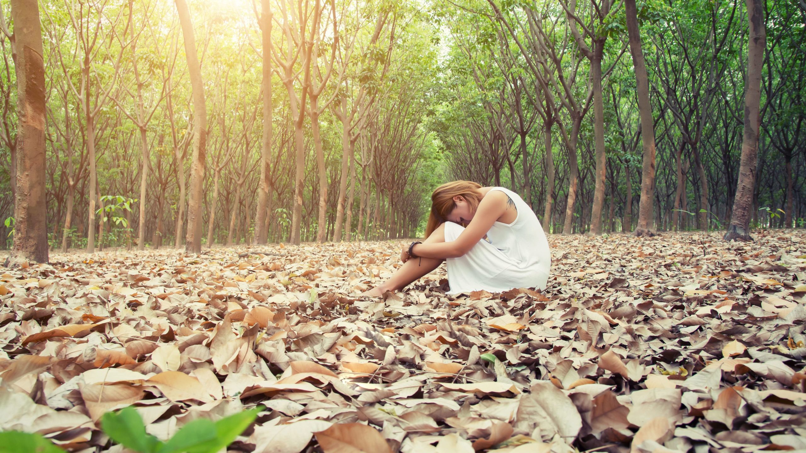éco anxiété ou encore solastalgie d'une femme dans une forêt assise parterre dans les feuilles mortes.