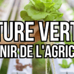 agriculture verticale avenir de l'agriculture pour sauver la planéte