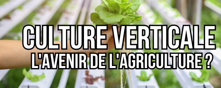 agriculture verticale avenir de l'agriculture pour sauver la planéte