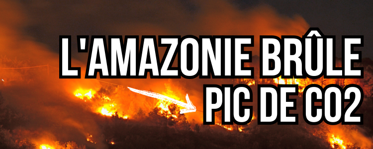 Amazonie qui brule, les incendies qui ravagent la forêt et dégagent plus de CO2 que l'Allemagne toute entière