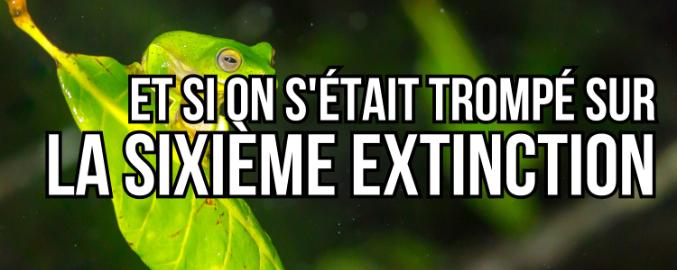 la sixieme extinction en masse d'espèces, et si on s'était trompés ?