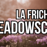 meadowscaping jardin en friche