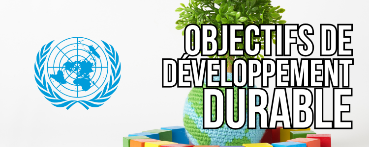objectifs de développement durable des Nations Unies (ONU)