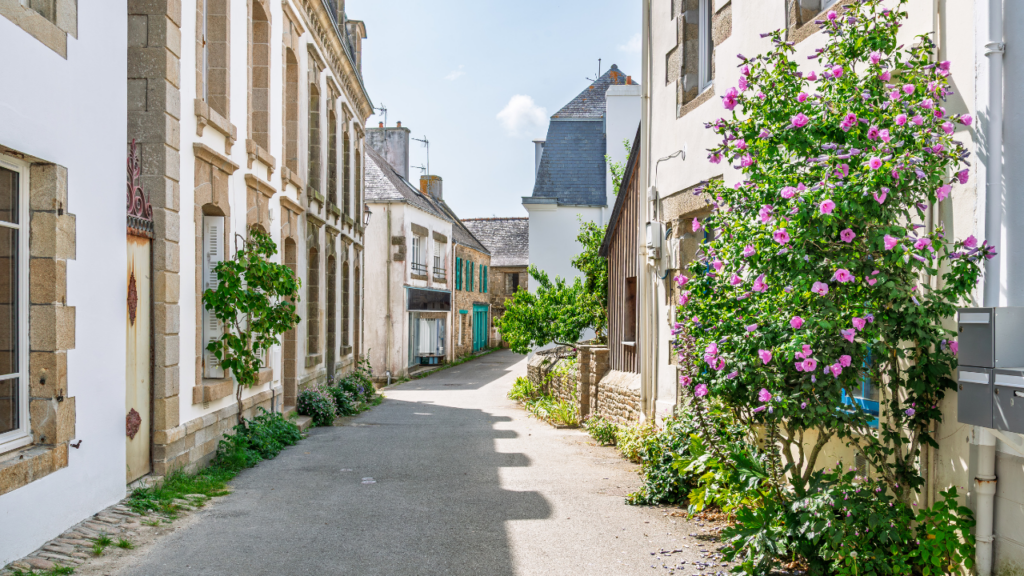 immobilier rural : ce qu'il faut savoir pour faire une bonne affaire